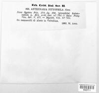 Image Associated With the Occurrence